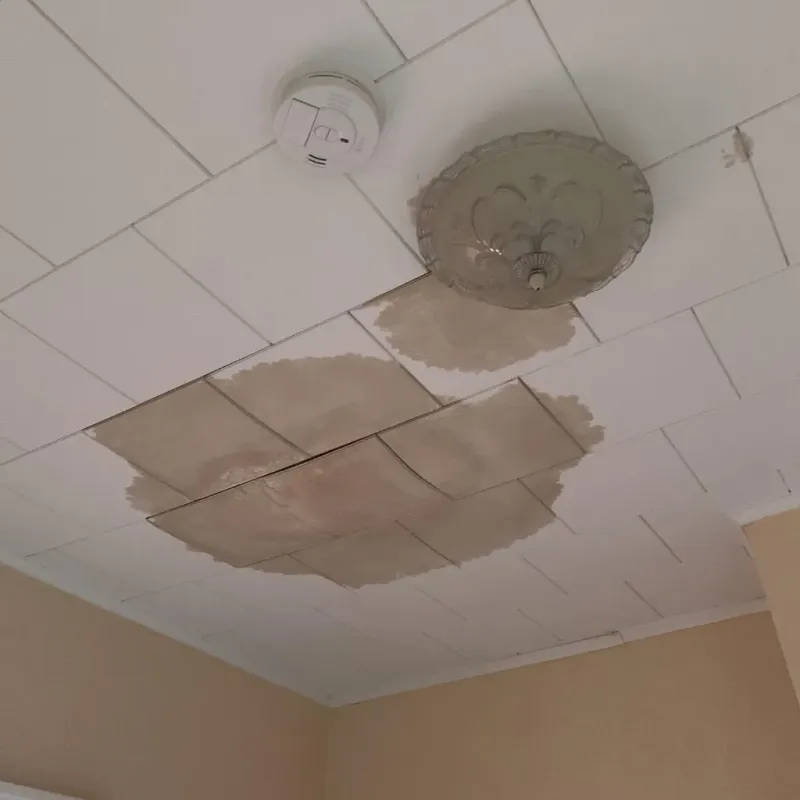 Ceiling Water Damage Repair in Prophetstown, IL